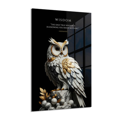 cardinal virtue bundle - wisdom & temperance